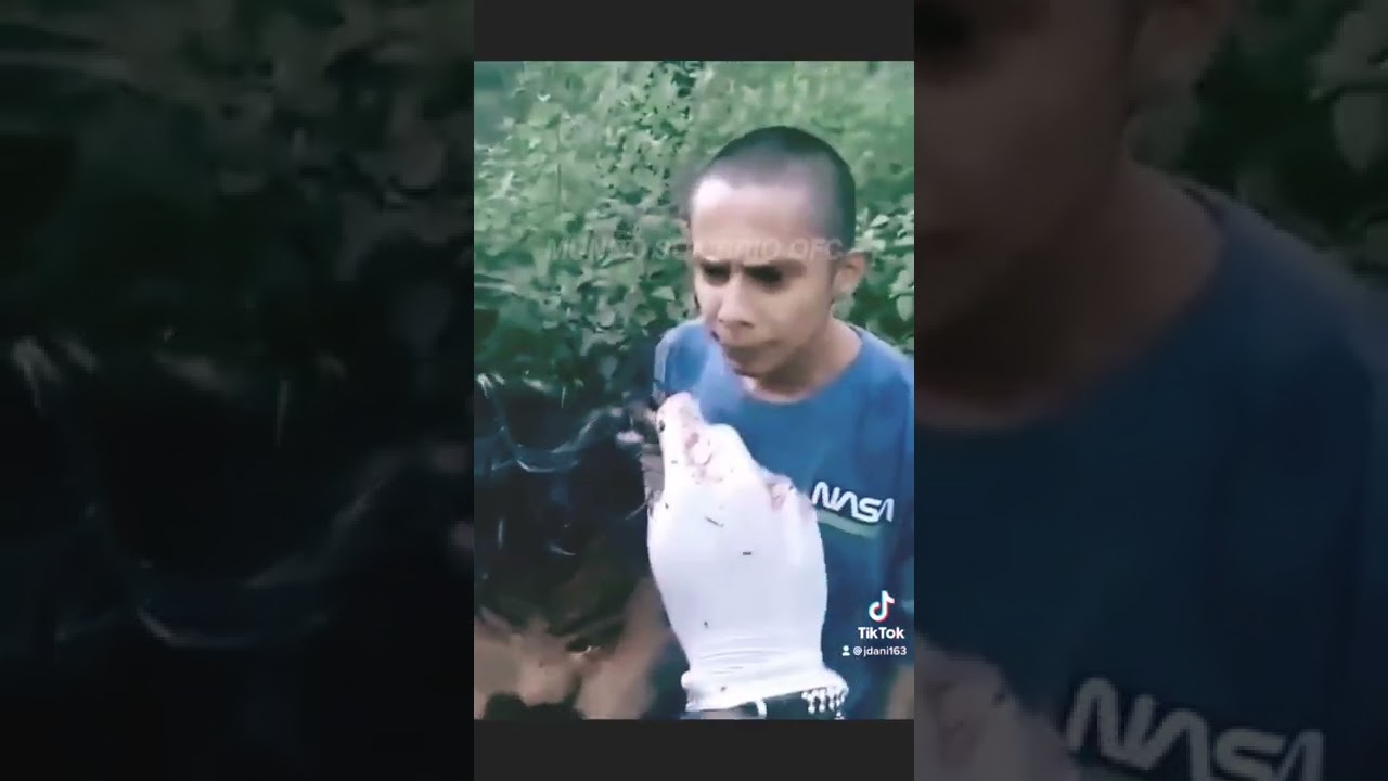 Vídeo gore💀