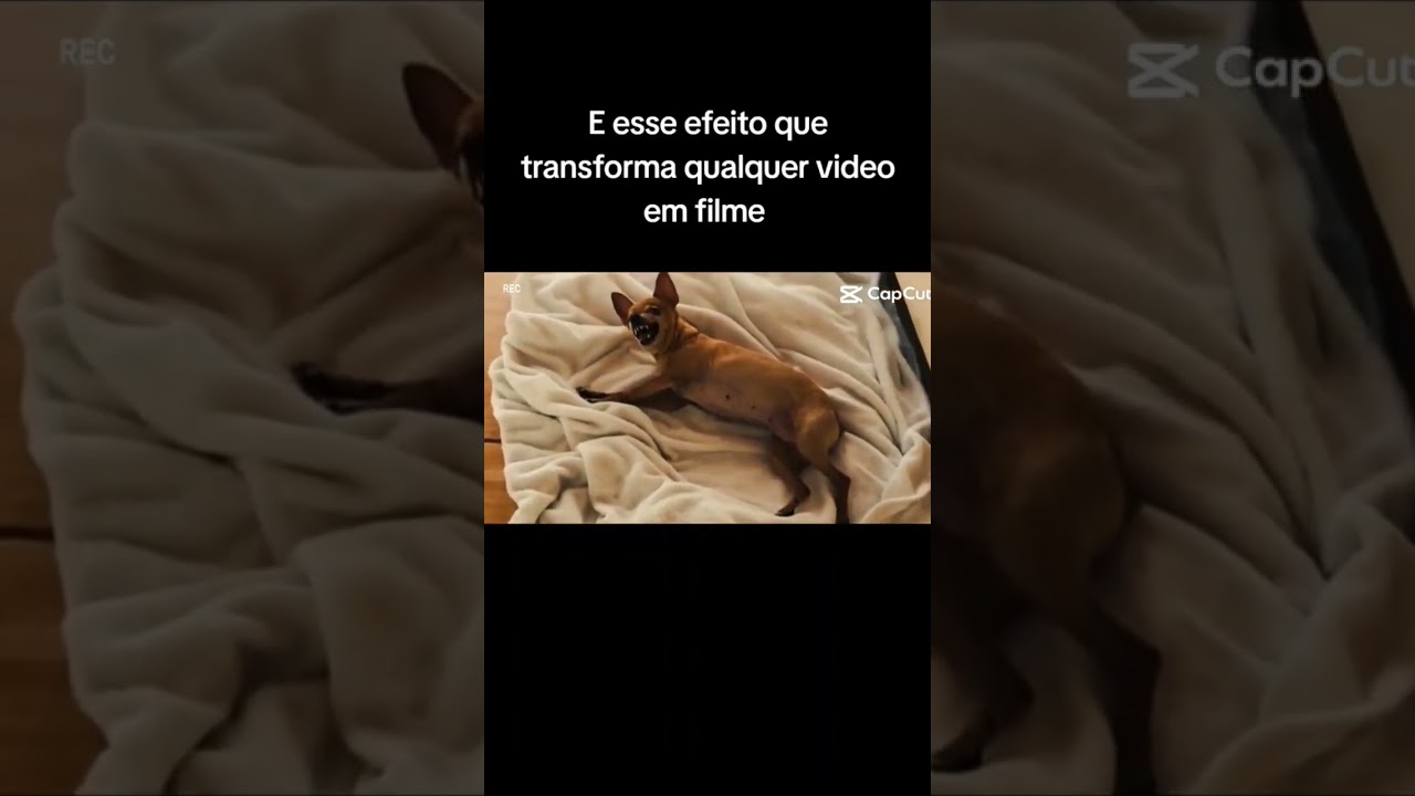 Vídeo Loirinha da TC (The Choice) - loirinha da tc em alta