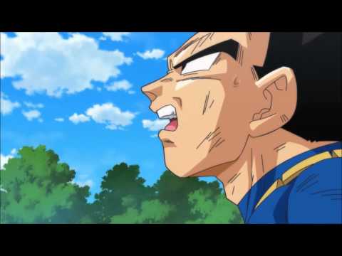 Vegeta's Anger 