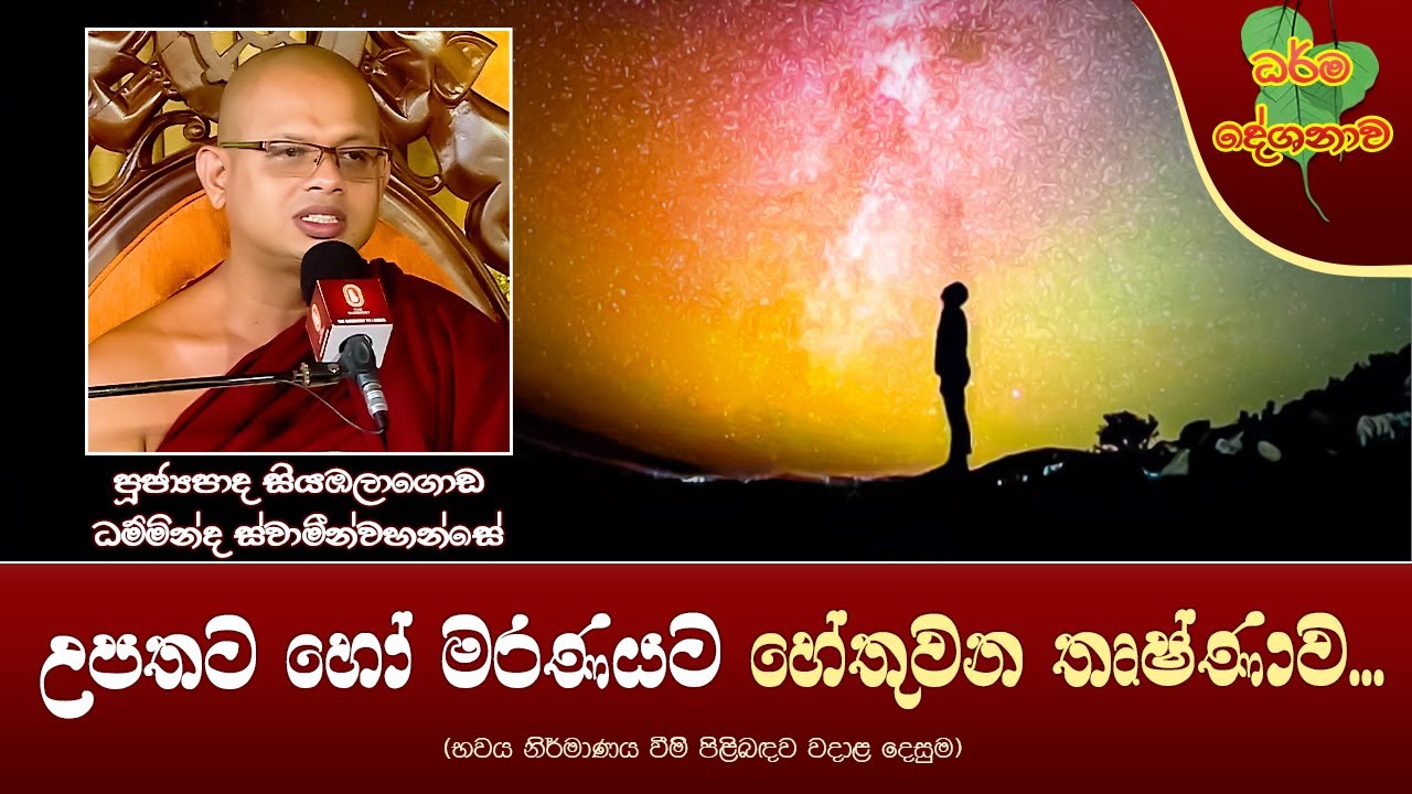 Ven Siyambalagoda Damminda Thero | 2025-03-05 | 6:30 AM ( ළපතට හෝ මරණයට හේතුවන තෘෂ්ණාව... )