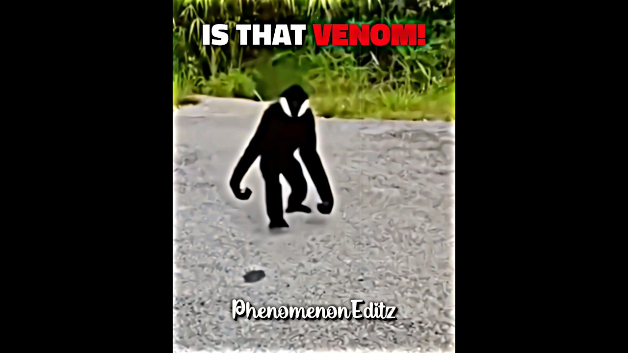 VENOM IRL ☠️... | #trollface