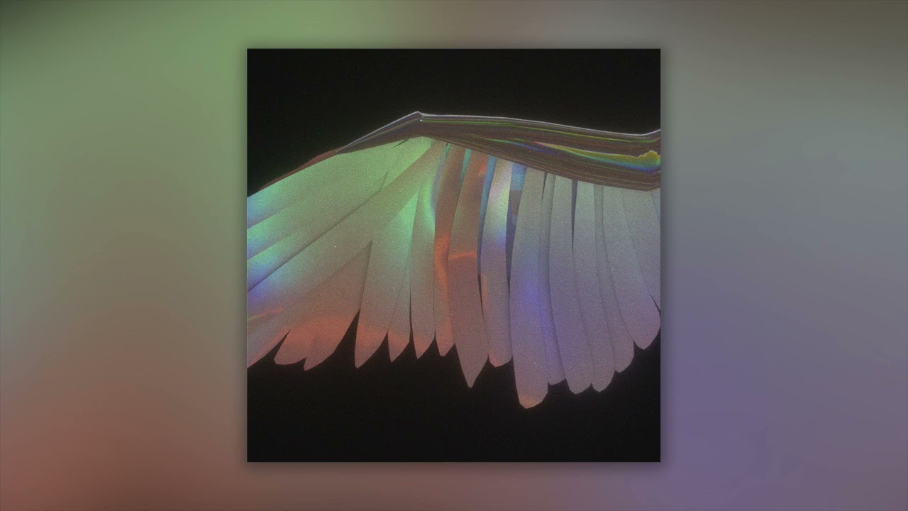 Venus88 - Wings