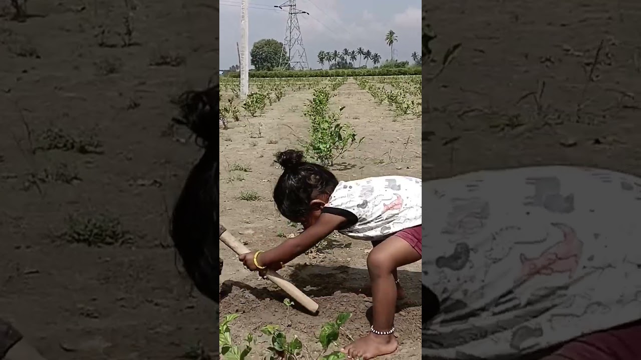 vettu vettu baby
