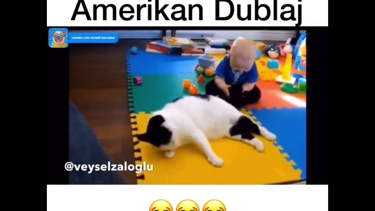Veysel Zaloğlu - ateist kedi Amerikan dublaj