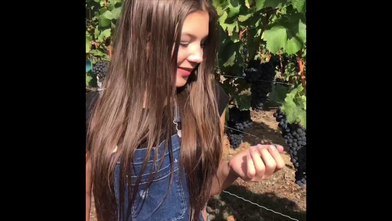 Video Clip summer & Autumn Germany 2018 \\\ Daymar Oropeza