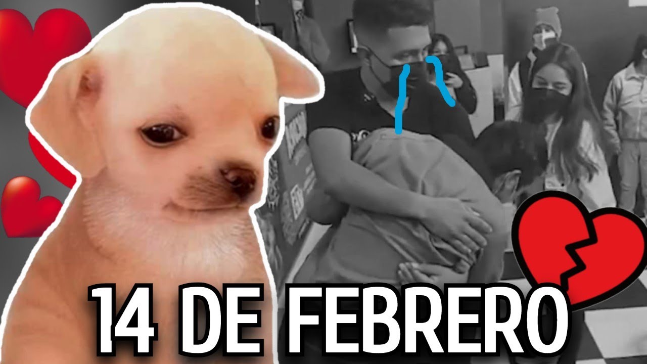Videos Sad #1 Especial 14 de Febrero 💔