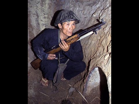 vietcong in bush ( discord meme)