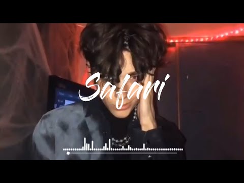 [Vietsub+Lyrics] Safari Remix -Serena