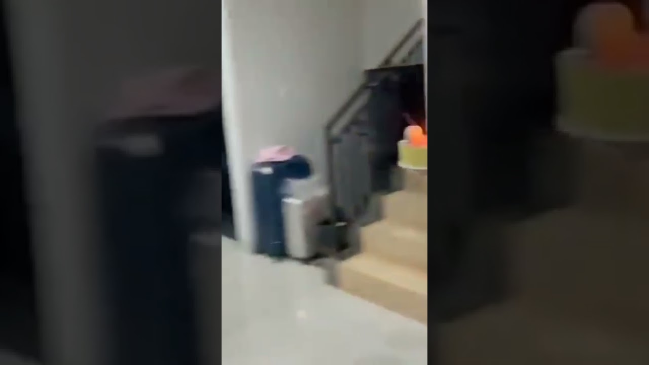 Vika Salim lupa pakai BH !!!  saat di kasih kejutan ultah oleh teman temannya ,#shorts  #shorts