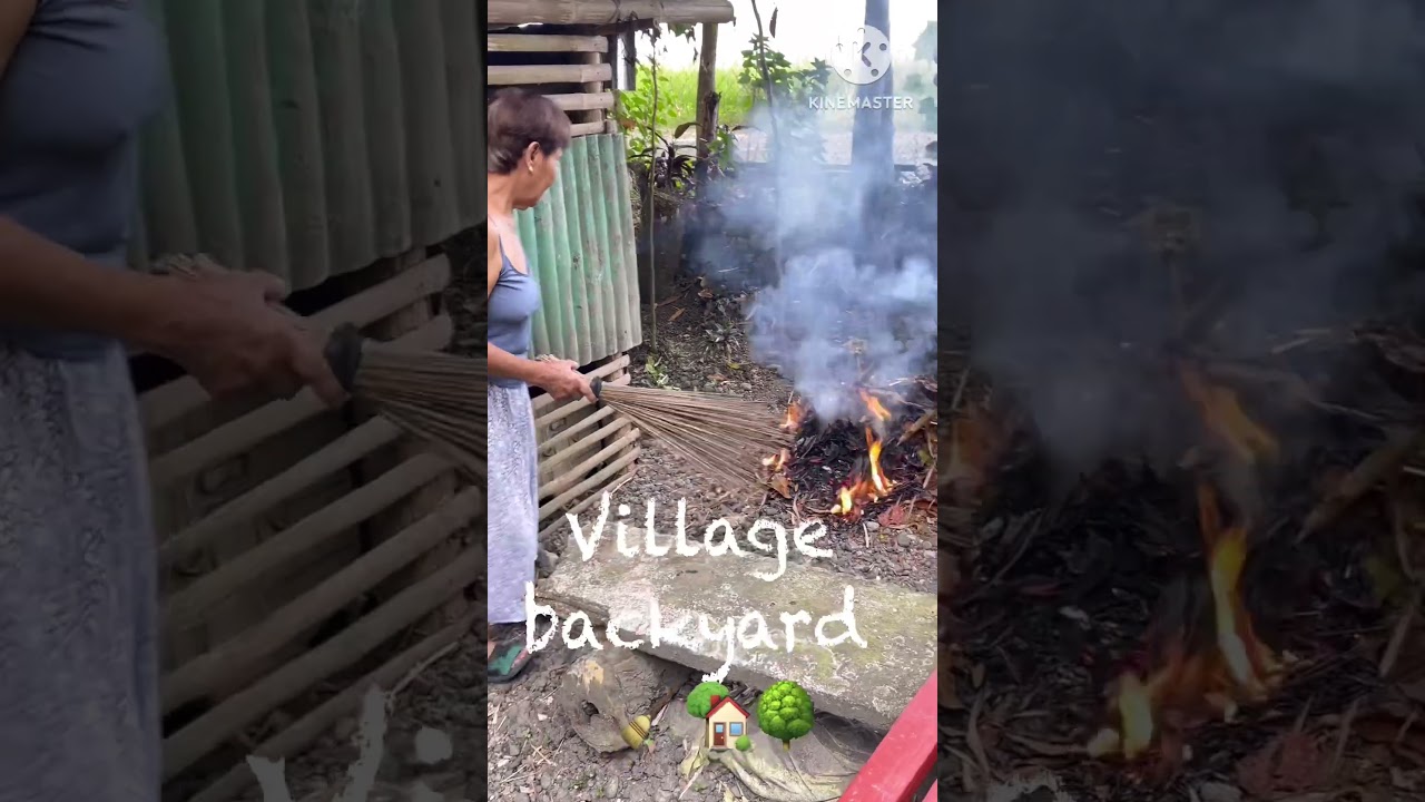 Village Auntie cleaning her home backyard early morning !!! #shorts #viralvideo
