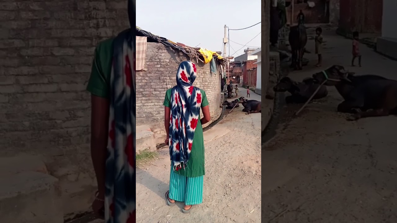 Village women fight