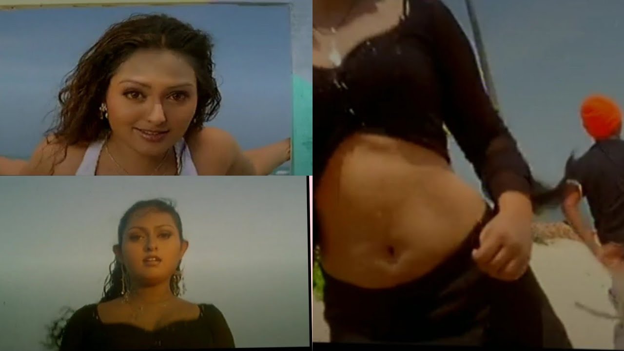 Vindhya Fleshy Hot Navel Song SEXY HIP 🔥