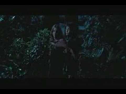 Vindicated (revised) - Harry Potter