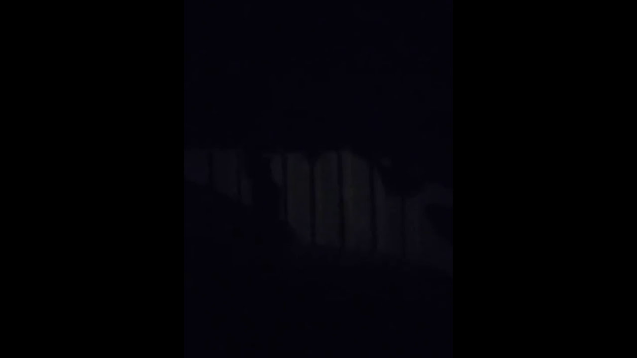 Viner invasion bullshitery