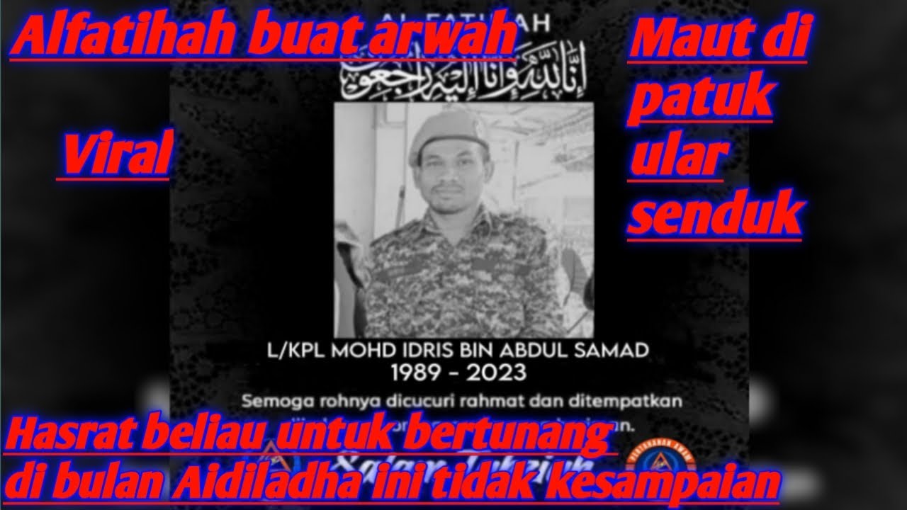 VIRAL: Anggota Apm Maut Dipatuk Ular 🐍