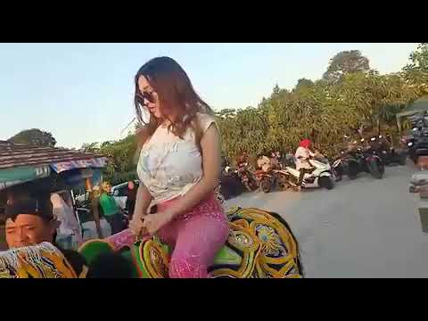 Viral!!! Cupi cupita kuda kudaan
