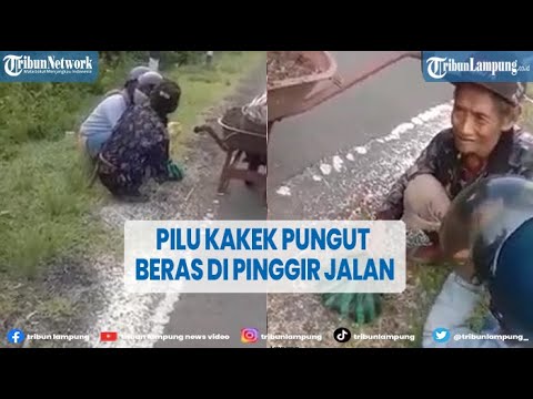 Viral Grandpa Picks Up Rice on the Side of the Road, Helping Woman Cries | @TRIBUNLAMPUNGNEWSVIDEO