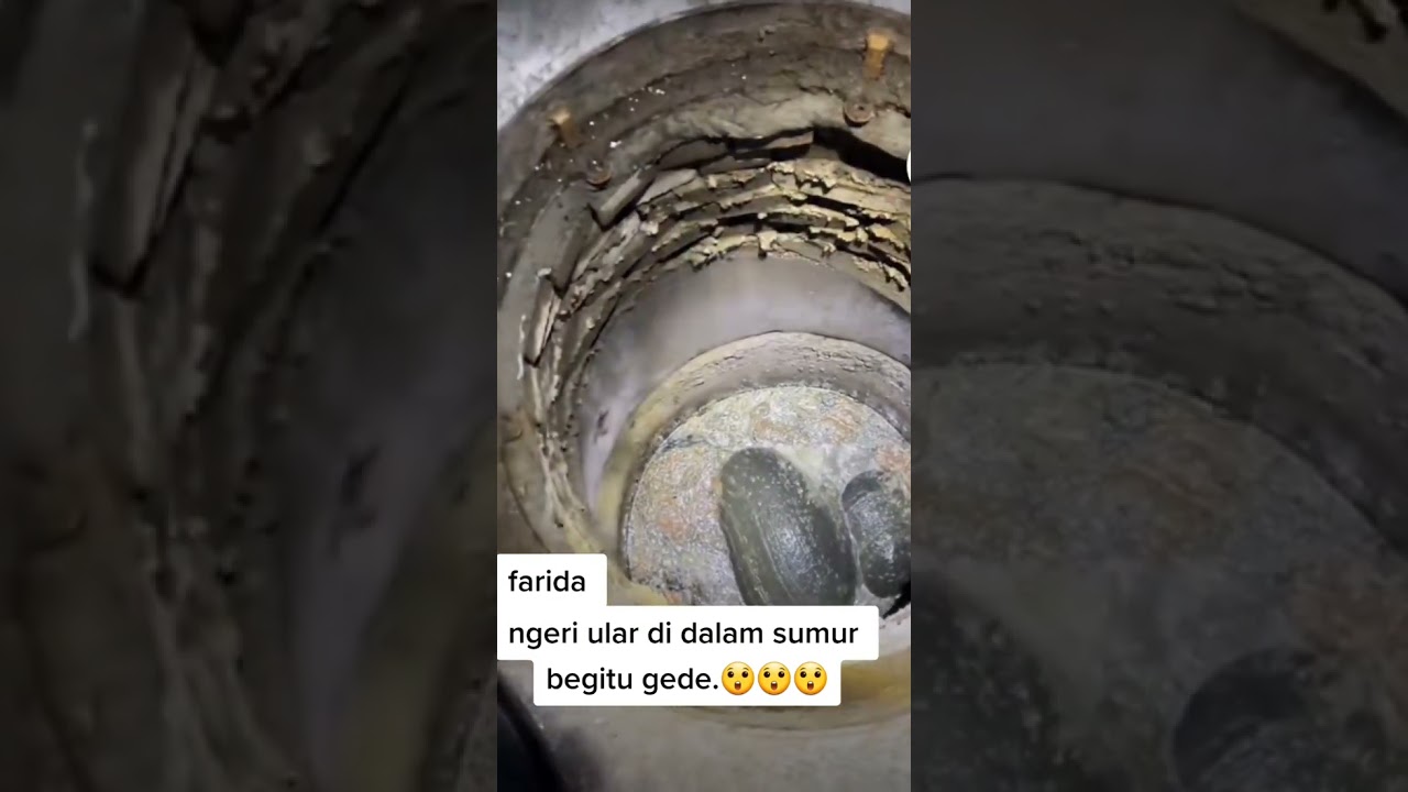 viral video ‼️ penampakan ular besar di dalam sumur😱#ular #ularbesar #ularberbahaya #sumur #shorts