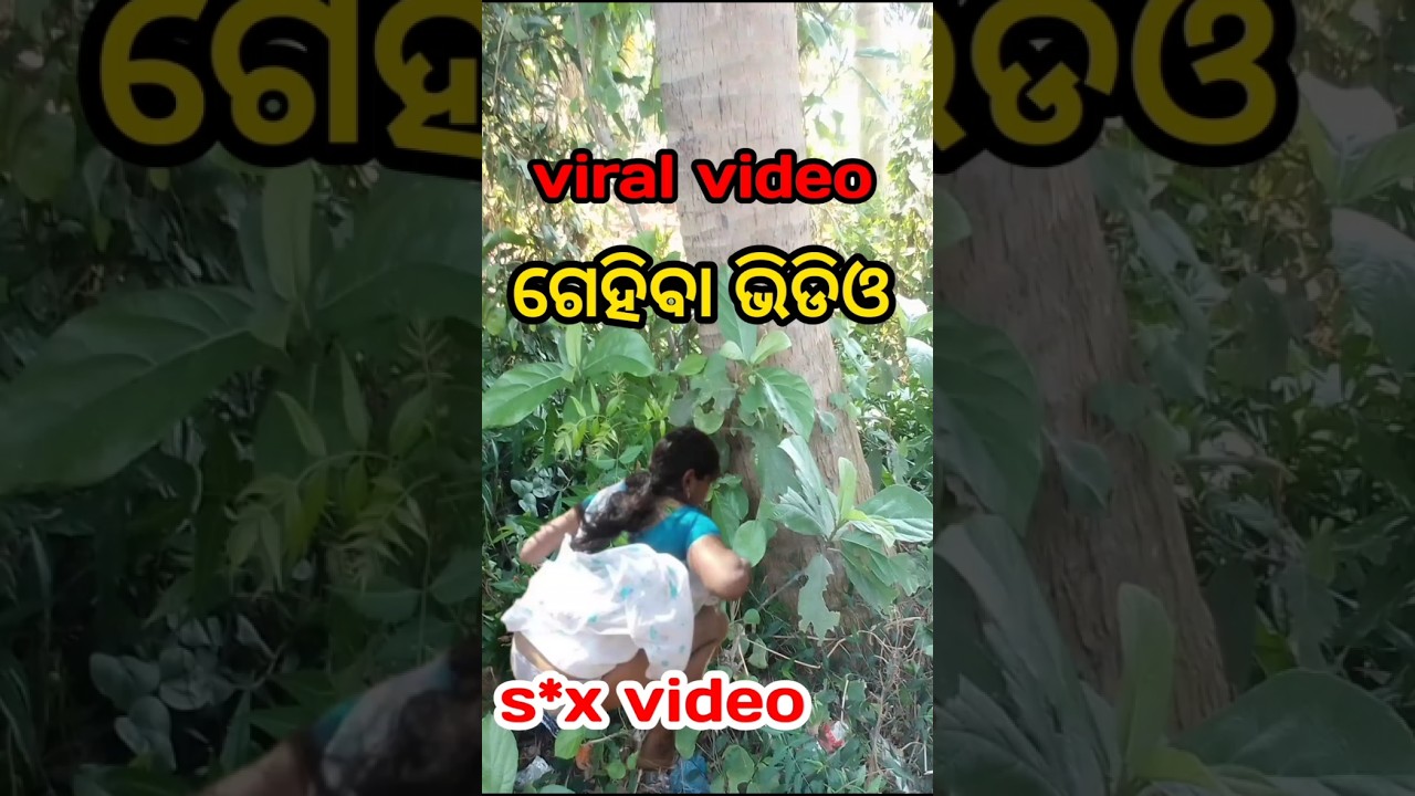 viral video odia | Malisahi viral video| giha gehi video| short shorts viral | YouTube shorts |