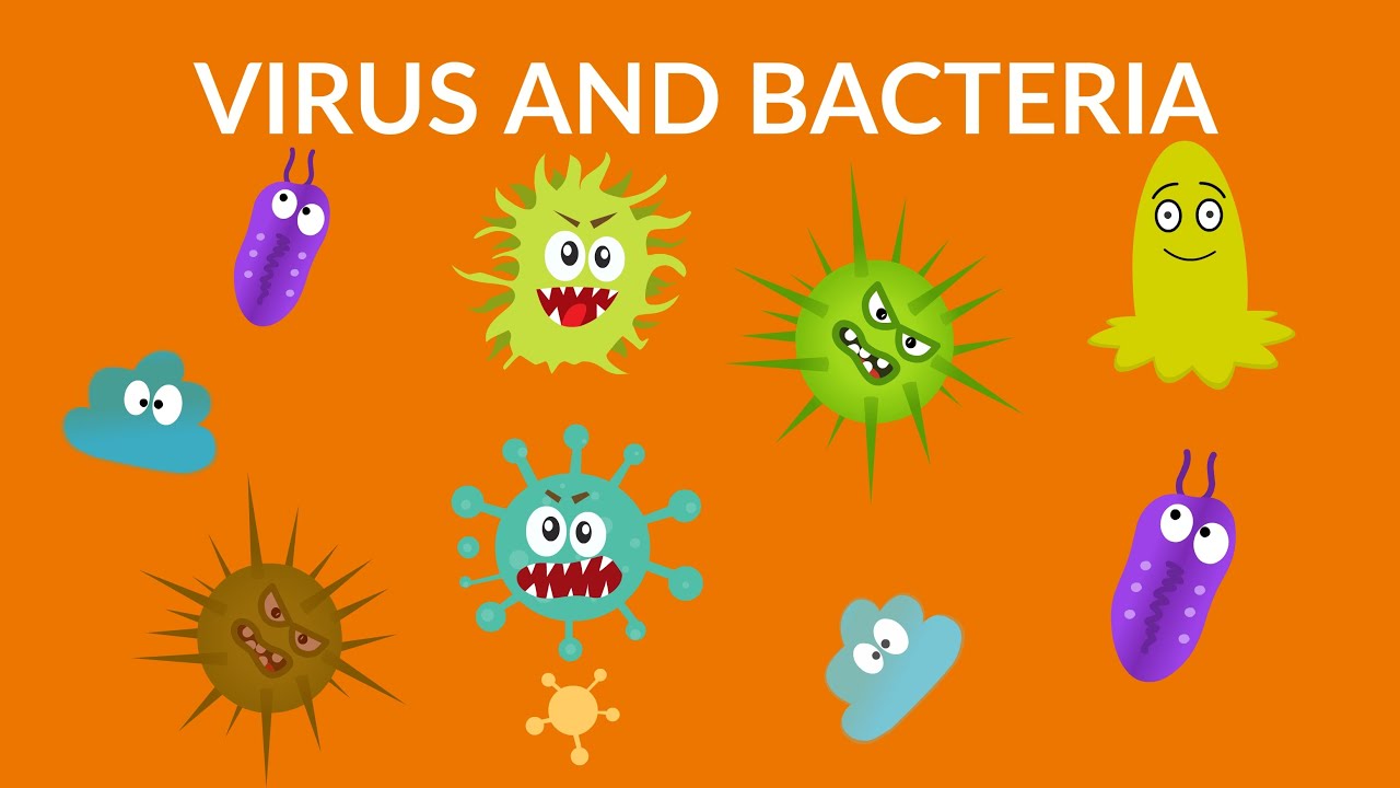 Virus and Bacteria || video for kids