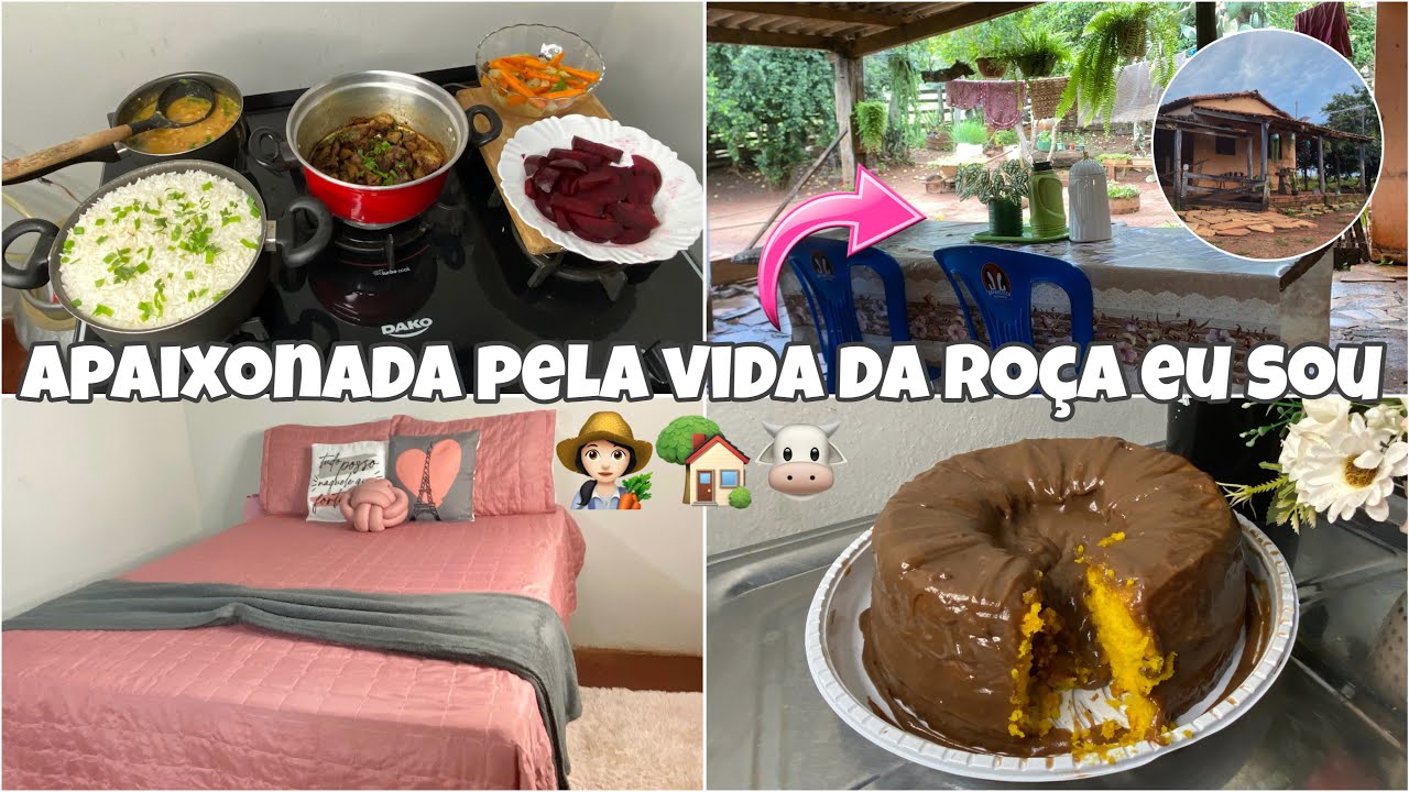 VIVENDO NA SIMPLICIDADE,NOSSA ROTINA AQUI NA ROÇA |👩🏻‍🌾🏡✨ALMOÇO CASEIRO ➕ organização da casa…