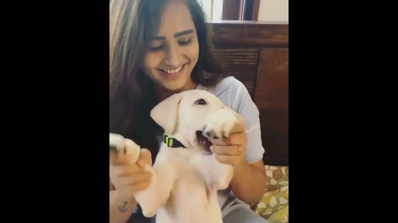 vj Jacqueline fun video