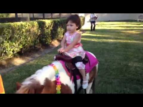 Vk en pony