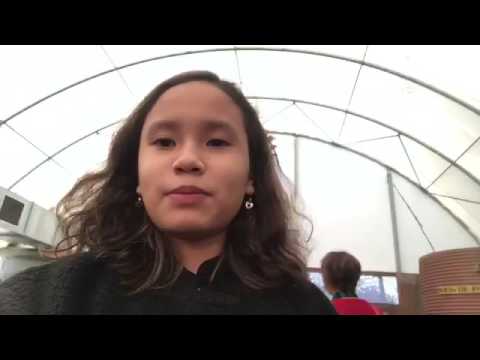 VLOG 10 AQWA ( Aquarium) & Caversham wildlife park | Mega.WK