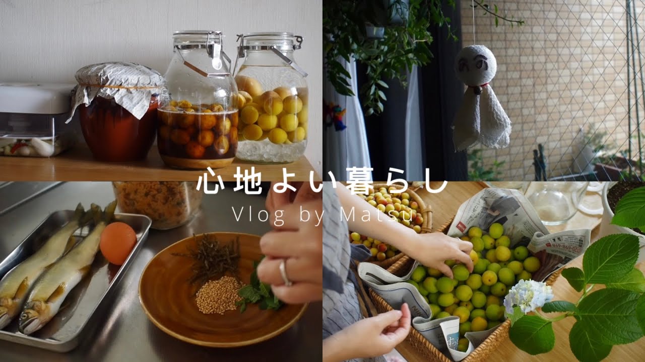 【日本生活vlog36】听雨入梅｜盐烤香鱼、酱油麴纳豆、辣韭甘醋渍、小梅渍、青梅露、青梅酒
