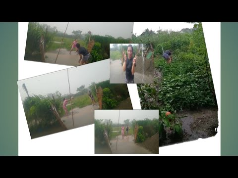#Vlog3-Things to enjoy in province ( Province Life/ Probinsyana girl) 🤗❤️