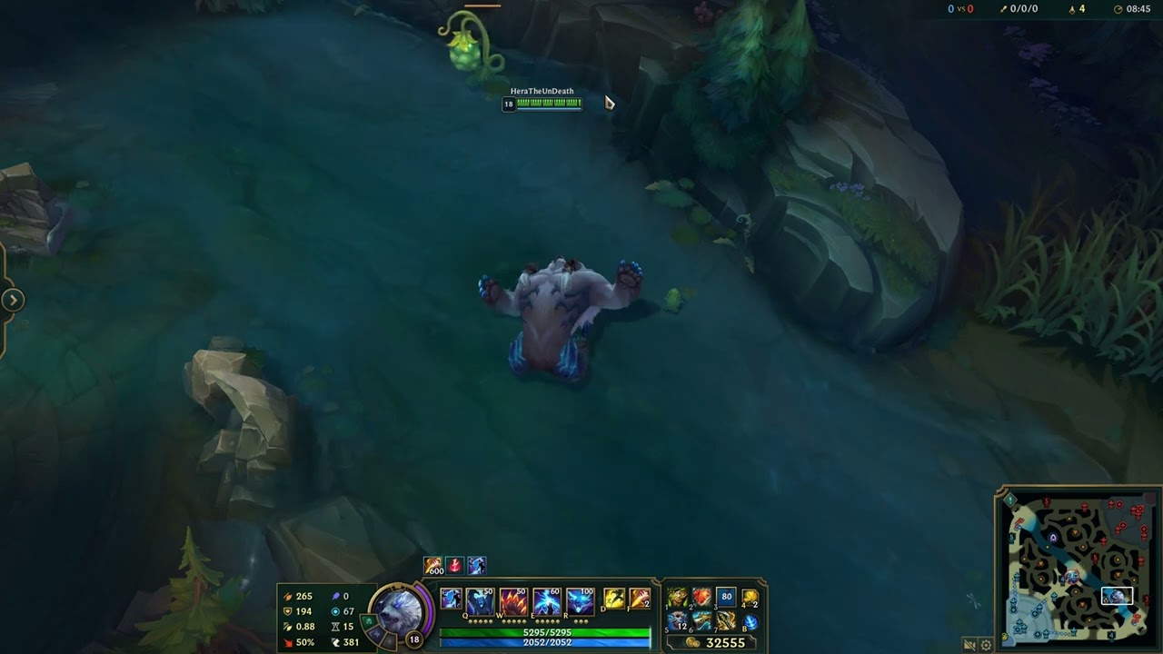 VOLİBEAR DANS