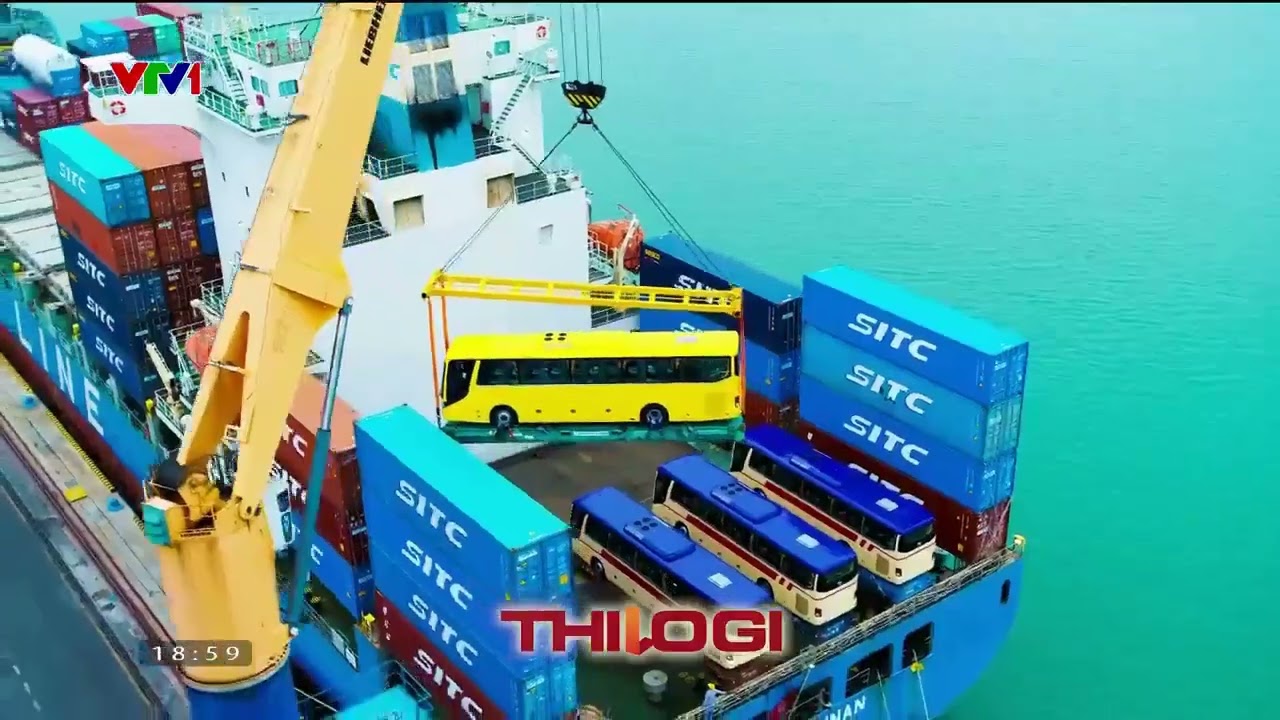 VTV1 | Program intro, advertisement, time signal 19h, news opening (2024.1.6, 11:56:47 UTC) | NETVN