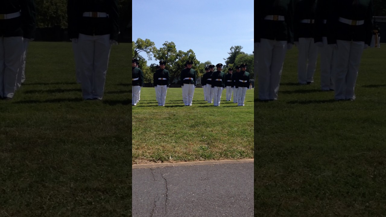 VWIL Vid6