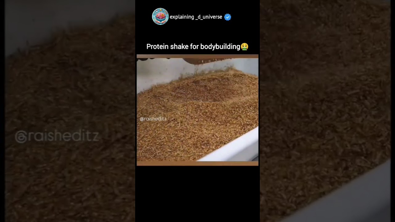 Vyroba proteinov..