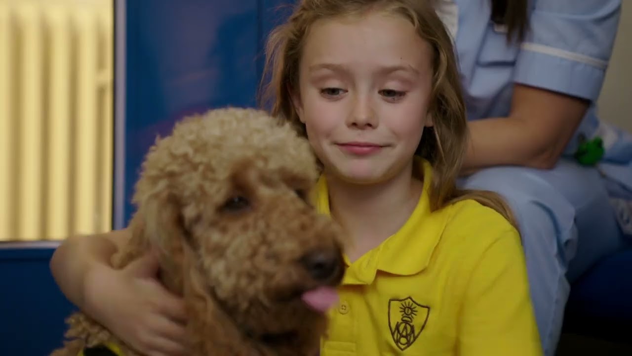 Waffle and the Birthday Wish | Waffle the Wonderdog | Live Action Videos for Kids | WildBrain Zigzag