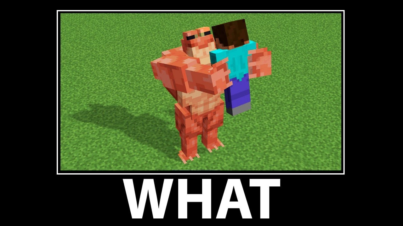 WAIT WHAT - ALL EPISODES