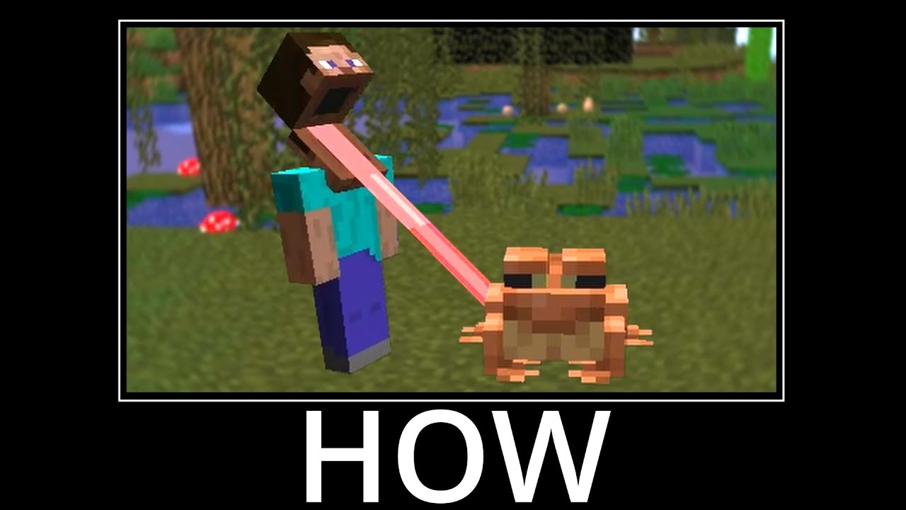 WAIT WHAT (Minecraft) #41