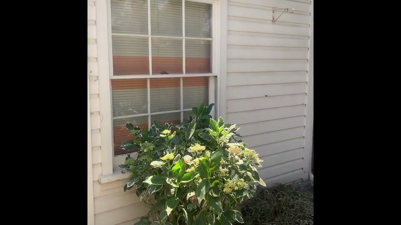 Walk through 516 De Armond, Santa Maria