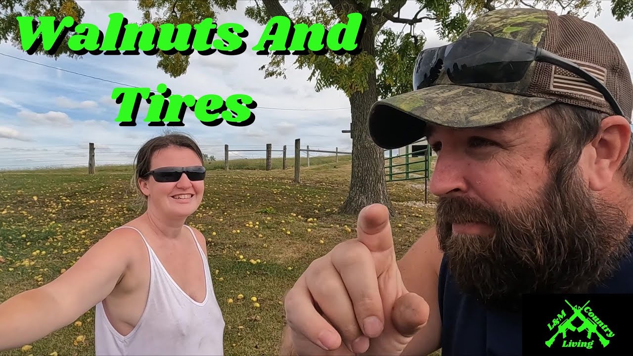 Walnuts and Tires