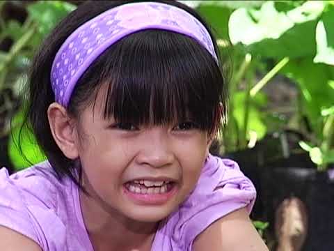 Wansapanataym: Kids VS. Zombies Full Episode | YeY Superview