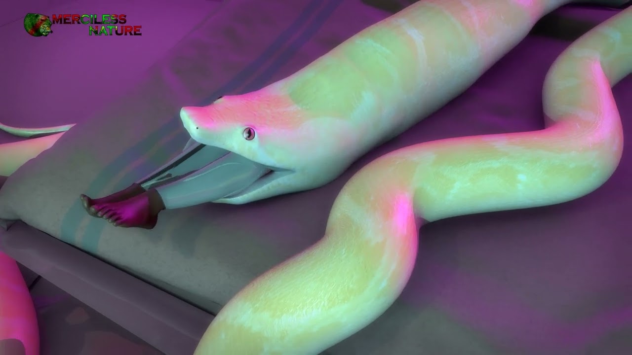 Warning: Dinner in The Bed Albino 3- Snake Bite Exposed -Big Snake Ball Python