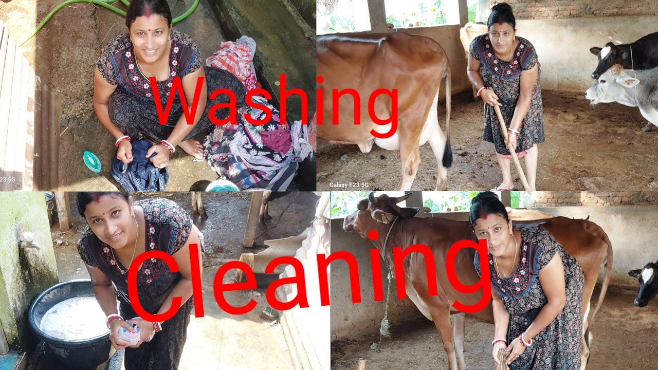 Washing r Cleaning karte gia mon ta khub Khushi holo ? 🤔🥻🪠🪣@kalyanivlogs5548 #Washing #cleaning
