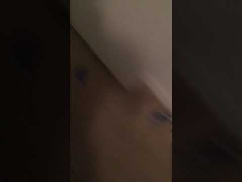 Water his ass 😂🤣😂🤣🤣