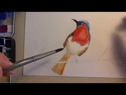 Watercolor Tutorial - How to Paint a Bird on a Palo Verde Branch for Beginners