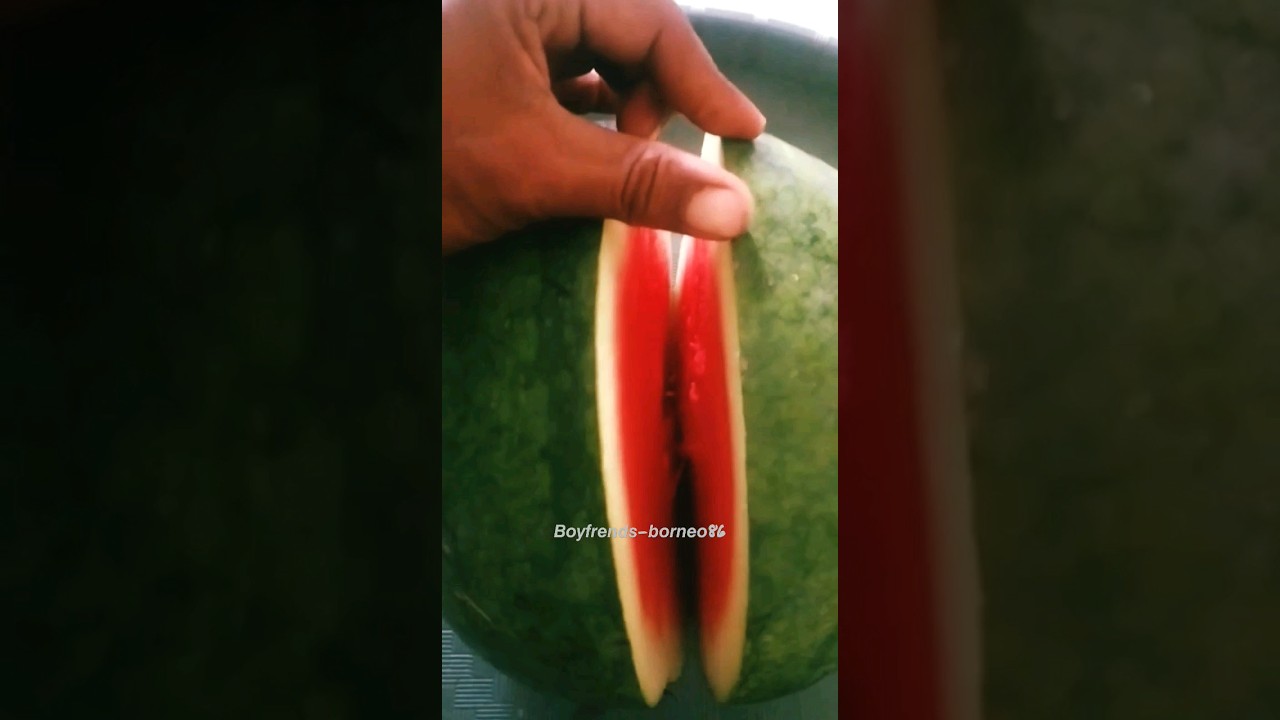𝘽𝙚𝙡𝙖𝙝𝙖𝙣#watermelon #youtuber #indonesia #borneo #trending #subscribe #viral #trendingshorts
