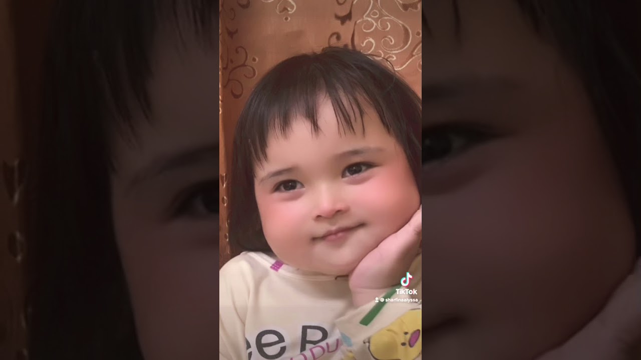 Wawa TikTok