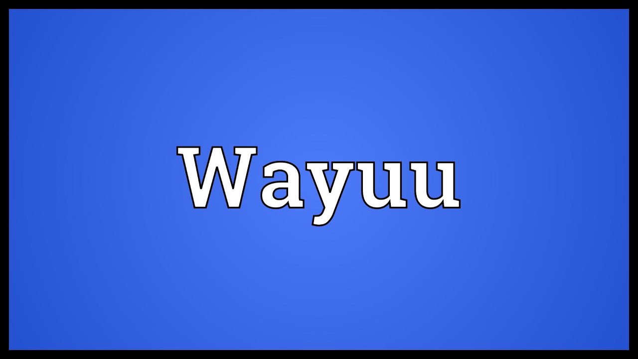 Wayuu Meaning