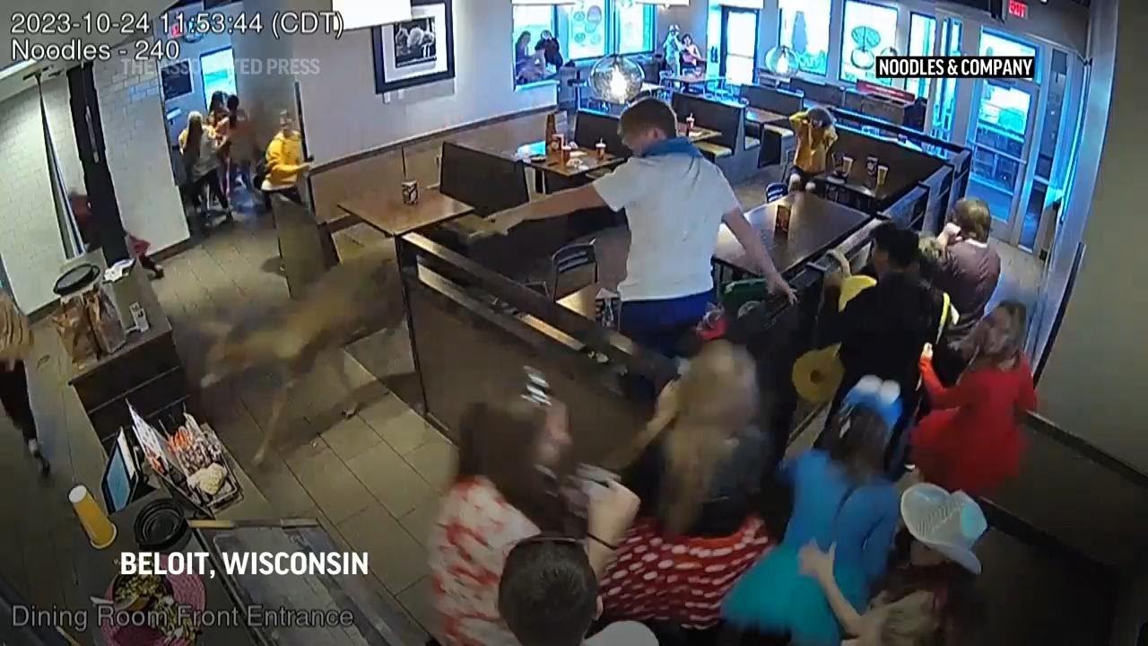 Wayward deer charges through crowded Wisconsin restaurant