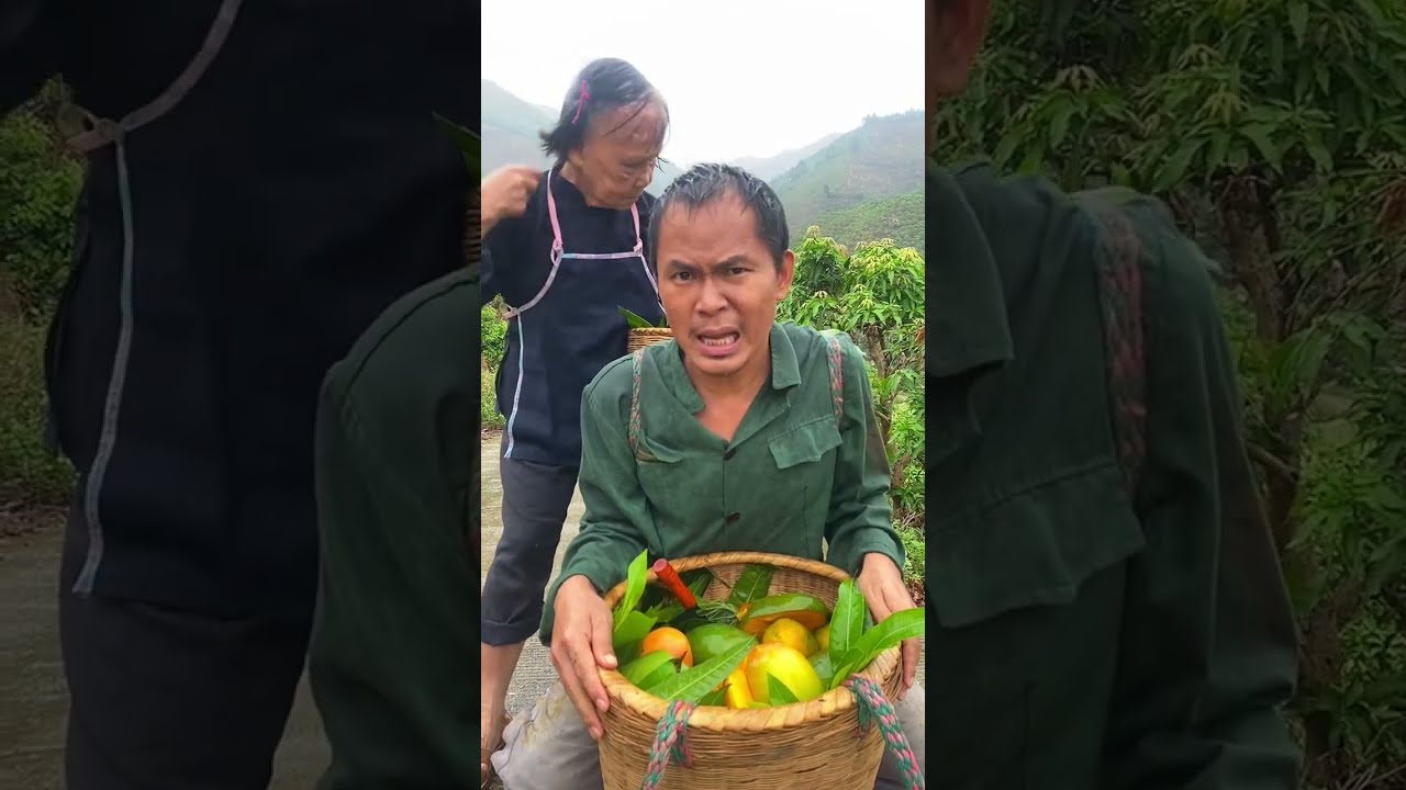 We live in the hilly area and pluck very juicy and unique mangoes from the trees here.#mango