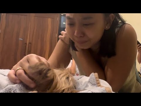 We Lost Our Baby Cho in a Tragic Attack 💔